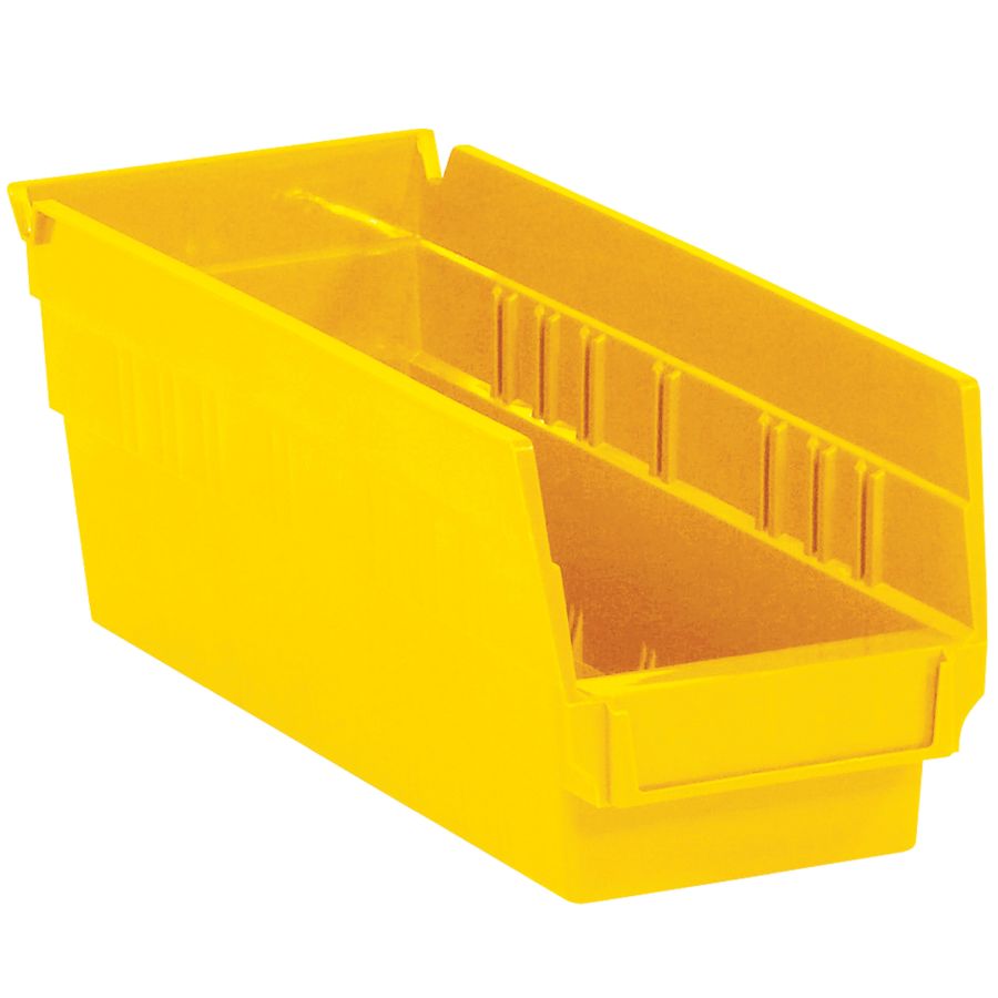 BINPS102Y