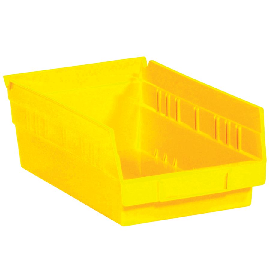 BINPS103Y