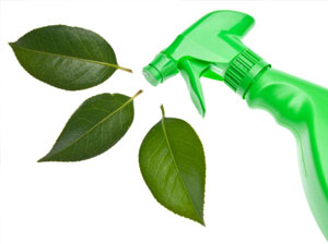 Green spray bottle with leaves-Green Cleaning Image
